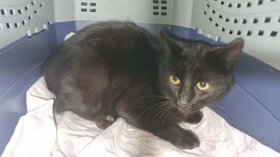 WhatsApp Image 2026-04-07 at 11.54.50